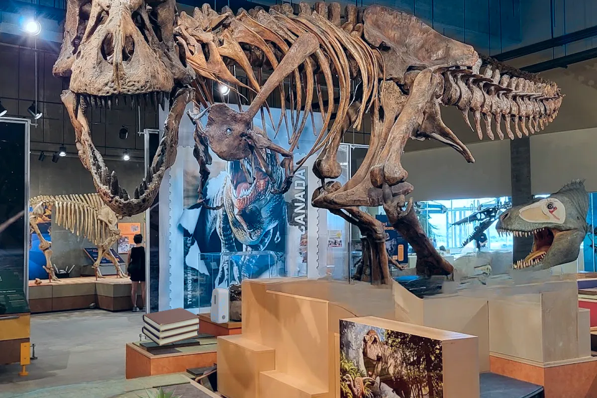T.rex Discovery Centre photo 1