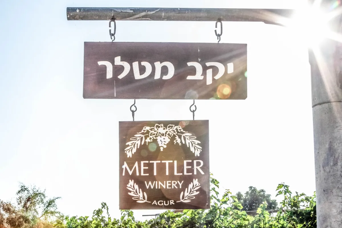 METTLER Winery יקב מטלר photo 1