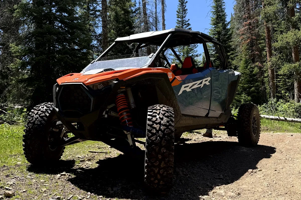 Colorado Sled Rentals photo 1