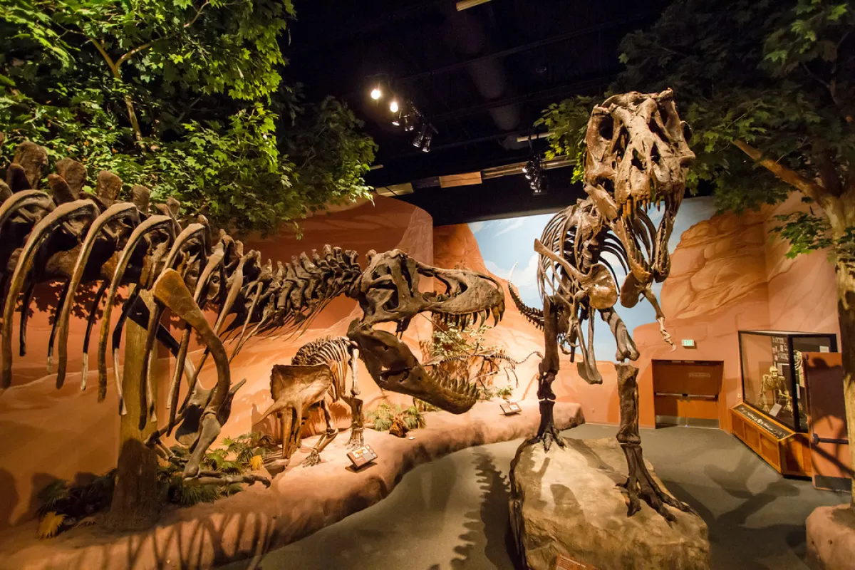 Mountain America Museum of Ancient Life at Thanksgiving Point photo 1