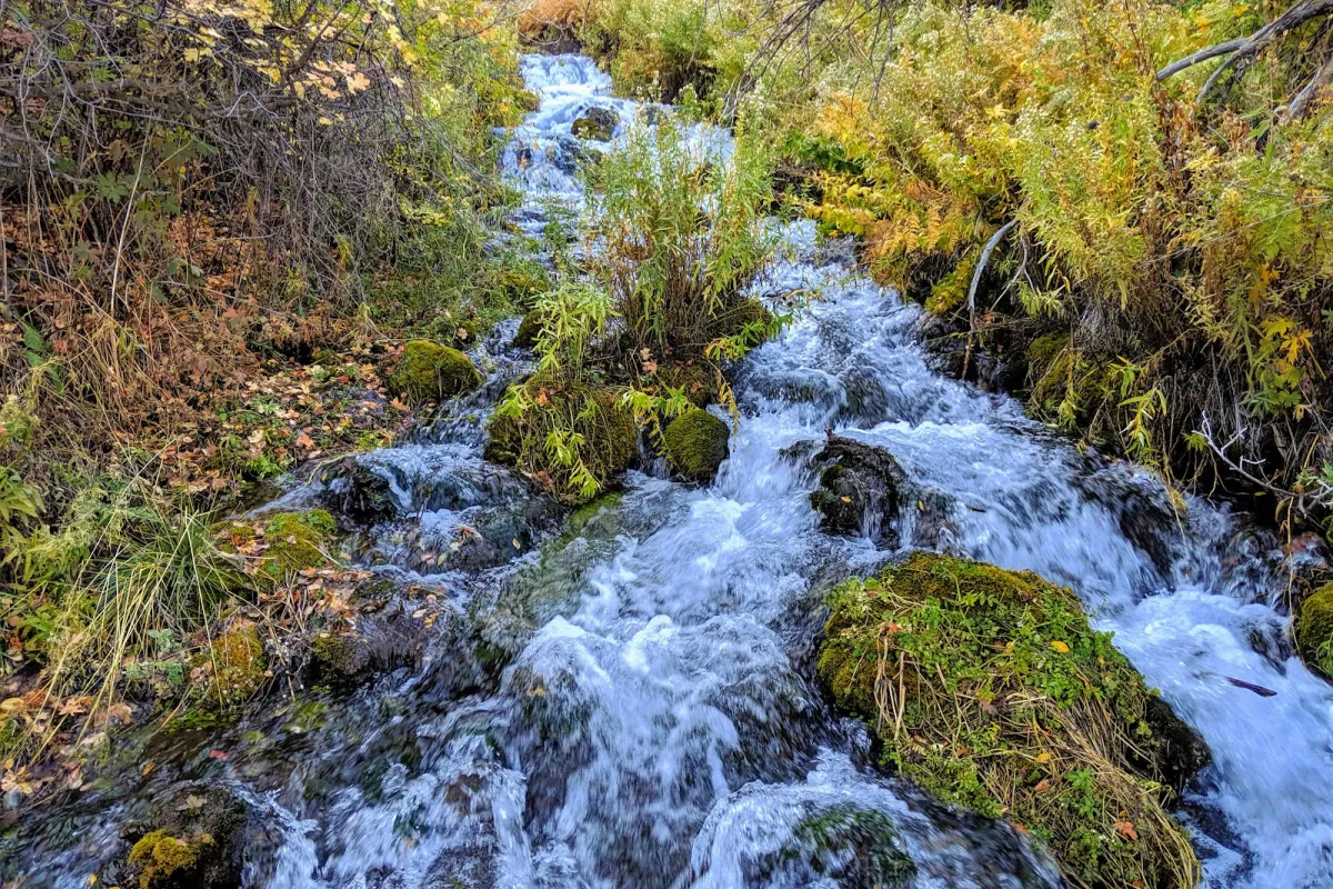 Cascade Springs photo 1