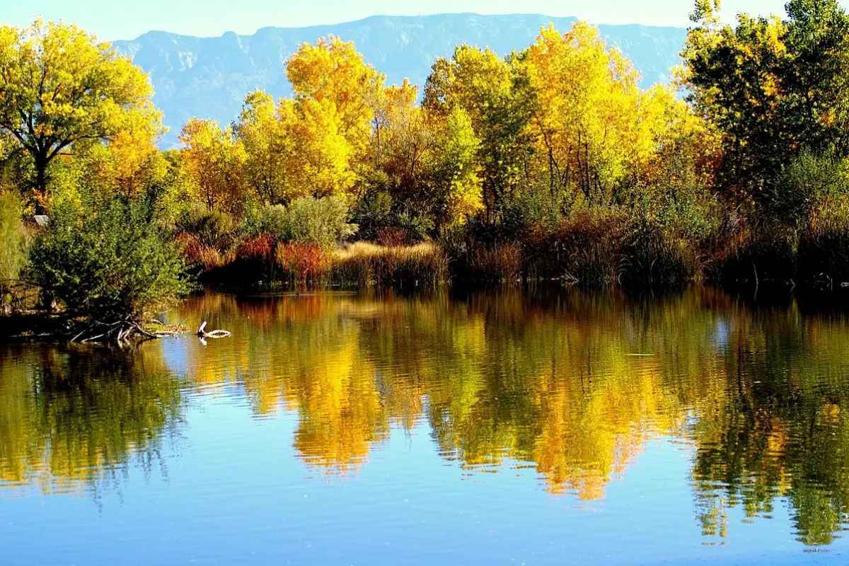 Rio Grande Nature Center State Park photo 1