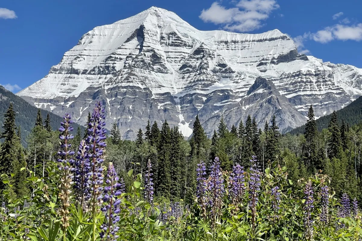 Mount Robson Provincial Park photo 1