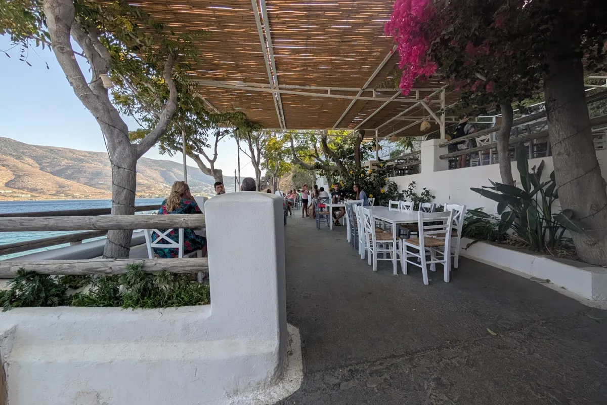 Vintsi Cafe, Bar & Restaurant photo 1