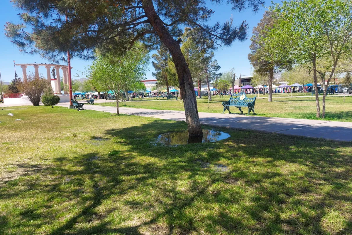 Parque Hidalgo photo 1