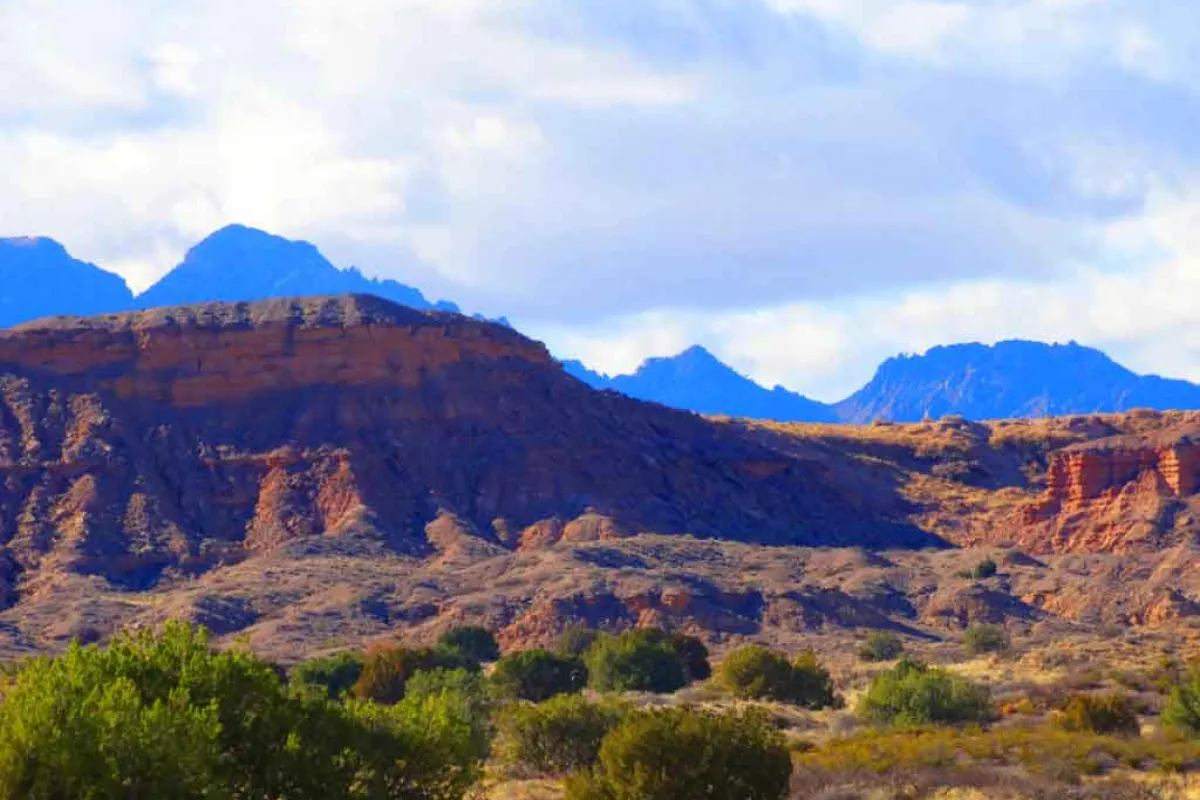 Sevilleta National Wildlife Refuge photo 1