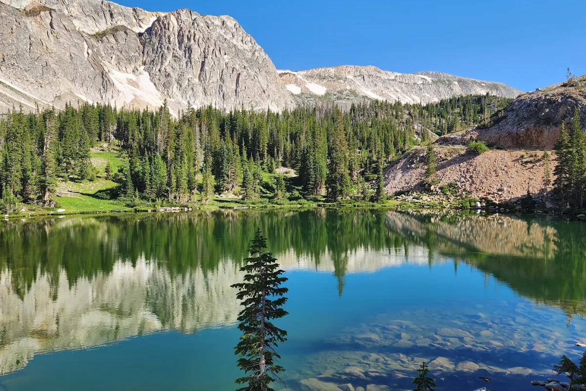 Medicine Bow-Routt National Forest photo 1