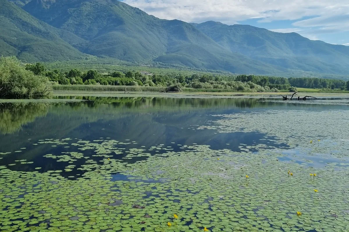 Boat port for bird watching on lake Kerkini photo 1