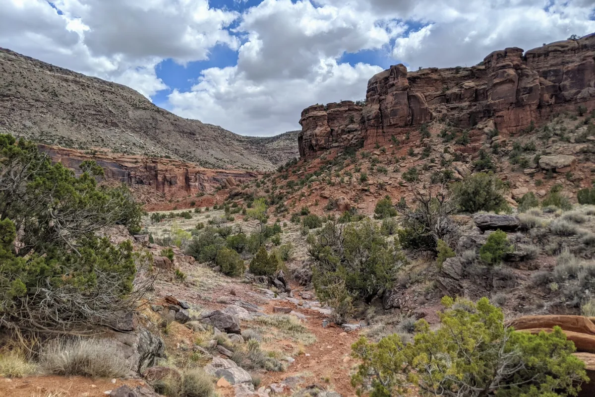 Dominguez-Escalante National Conservation Area photo 1