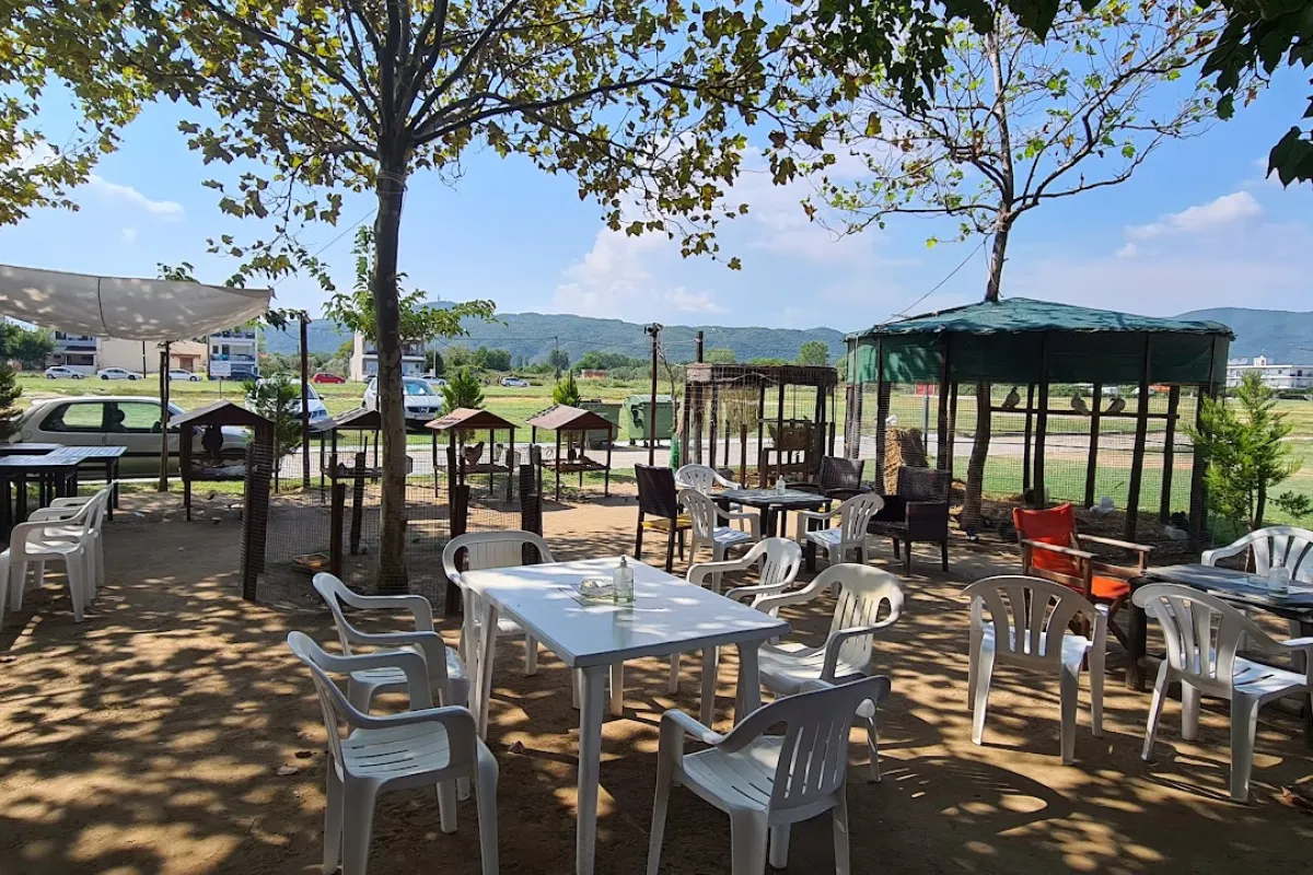 Kazani Beachbar photo 1