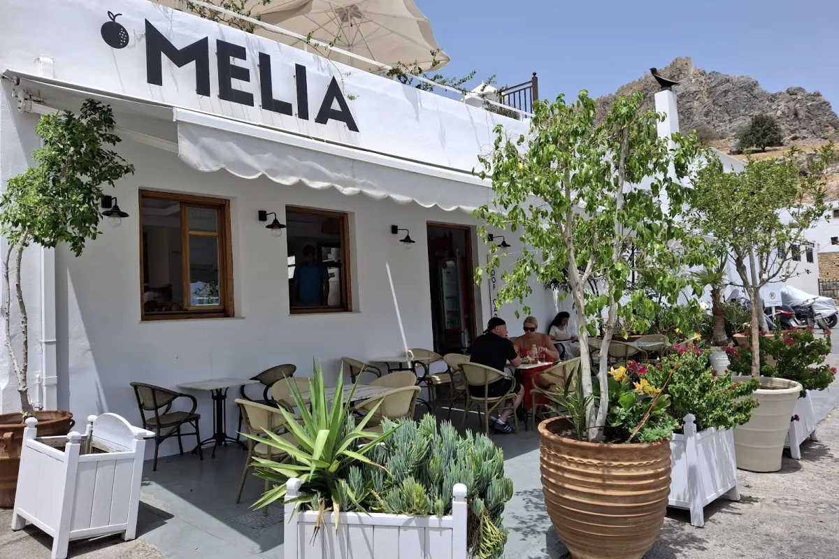 Melia photo 1