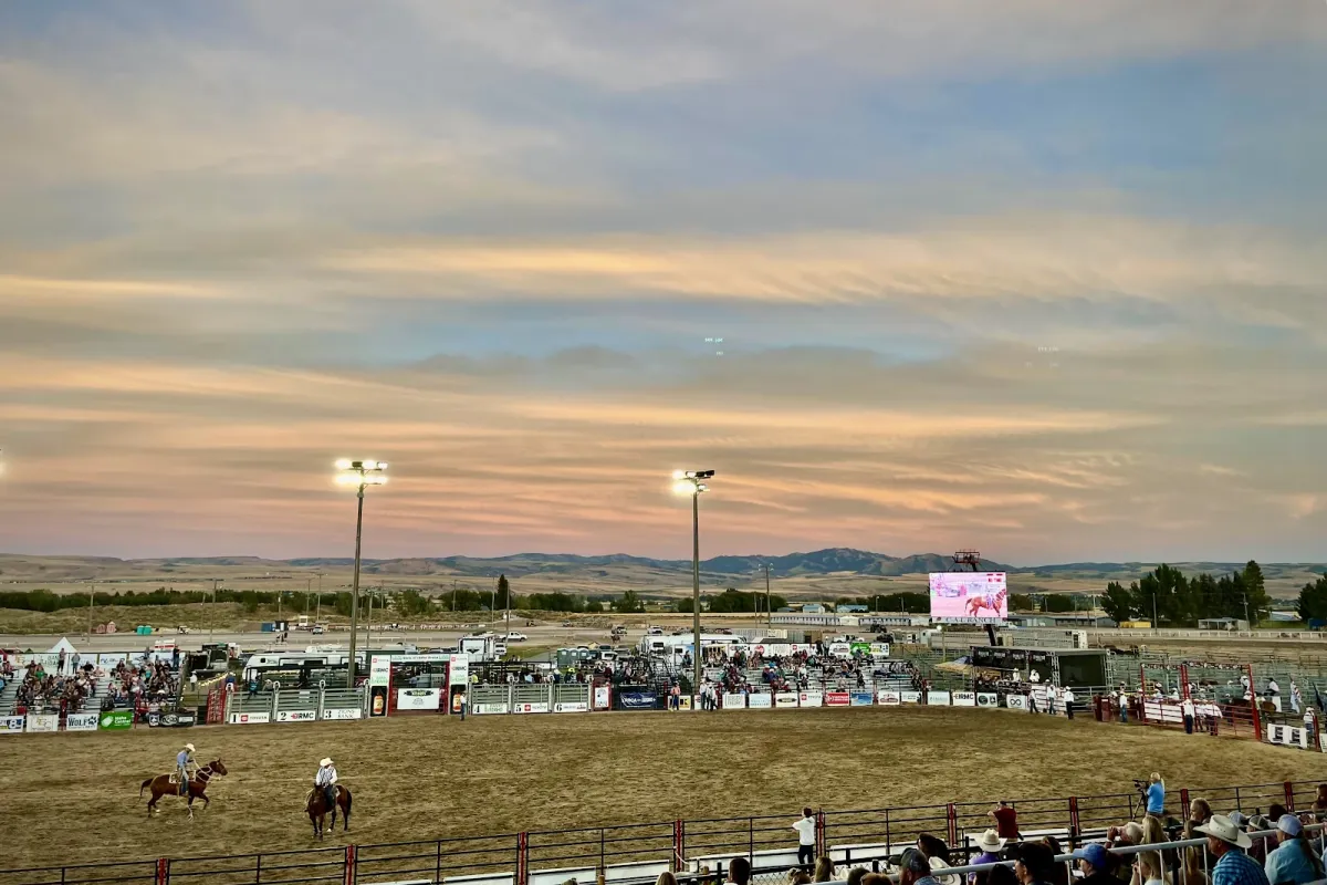 Sandy Downs photo 1
