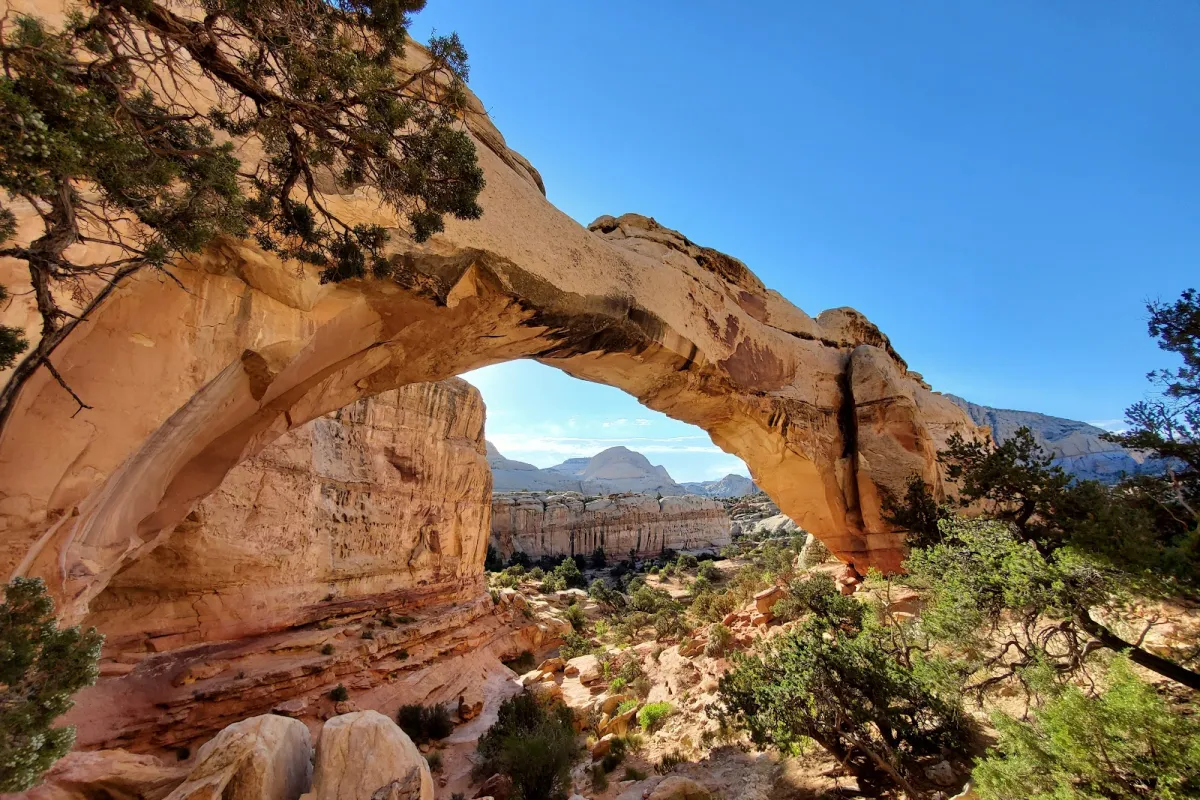 Capitol Reef National Park photo 1