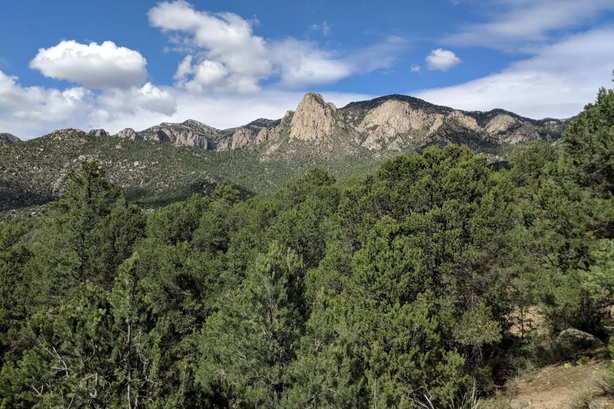 Cibola National Forest photo 1