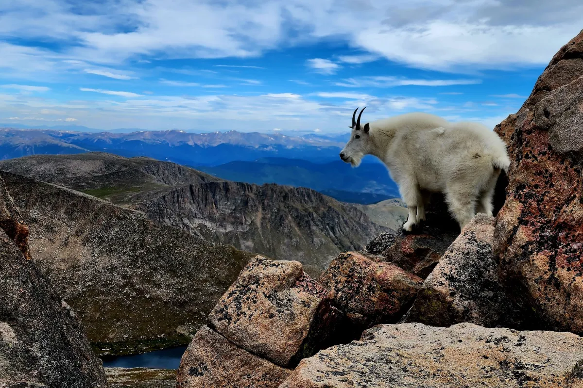 Mount Blue Sky photo 1
