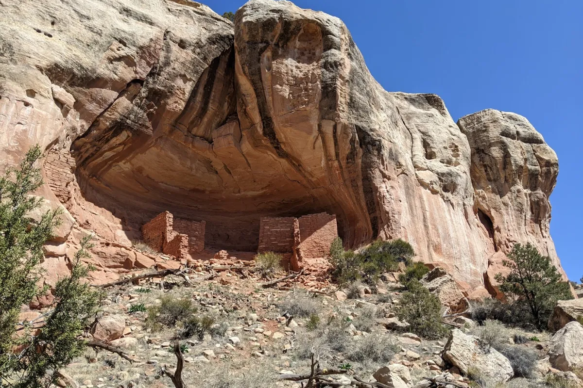 Canyons of the Ancients National Monument photo 1