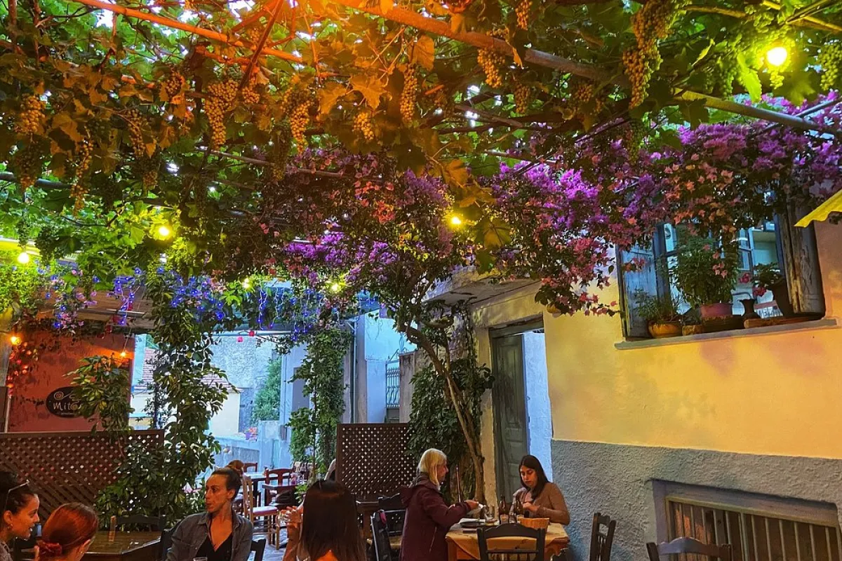 Το Σπιτικό Γαλακτομπούρεκο Παραδοσιακό καφενείον Γαλάνη photo 1