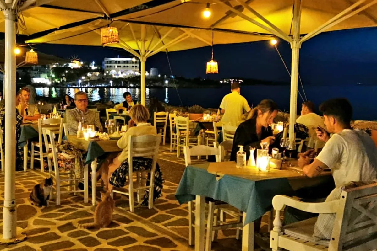 Taverna Alexandros photo 1