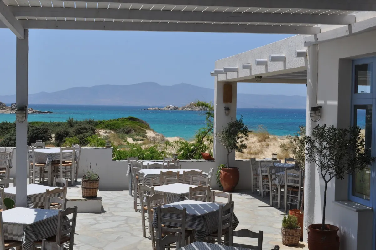 Kontos Taverna - Restaurant photo 1