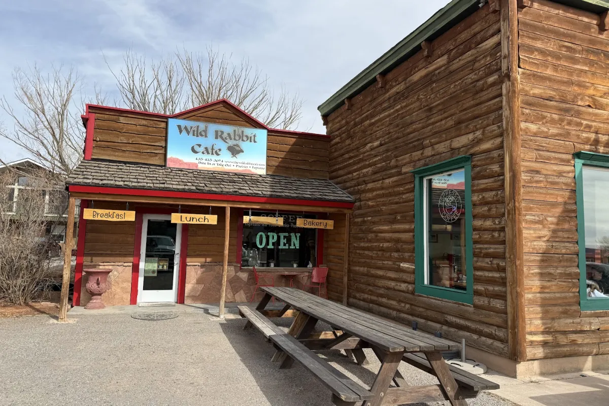 The Wild Rabbit Cafe photo 1