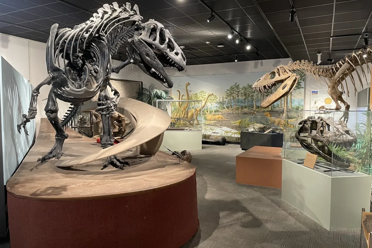 BYU Museum of Paleontology photo 1
