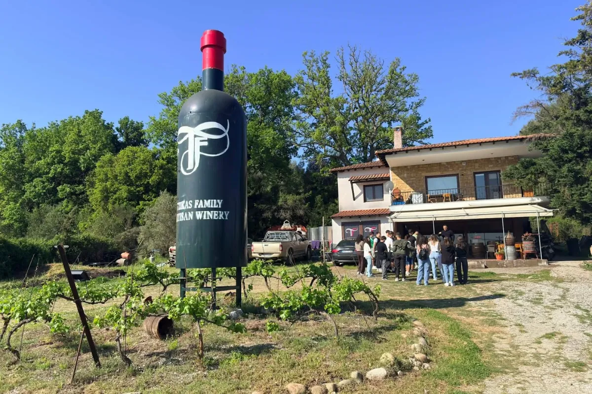 Tzikas' Family Winery photo 1