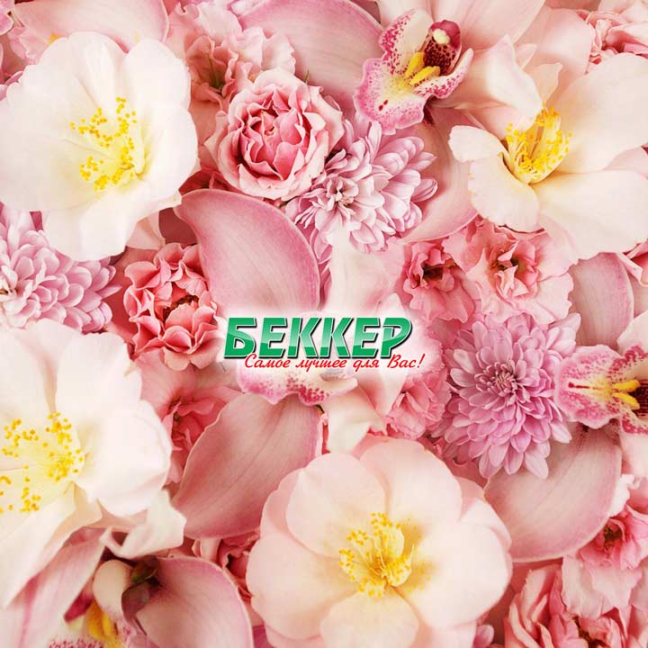 Беккер Беларусь photo 6