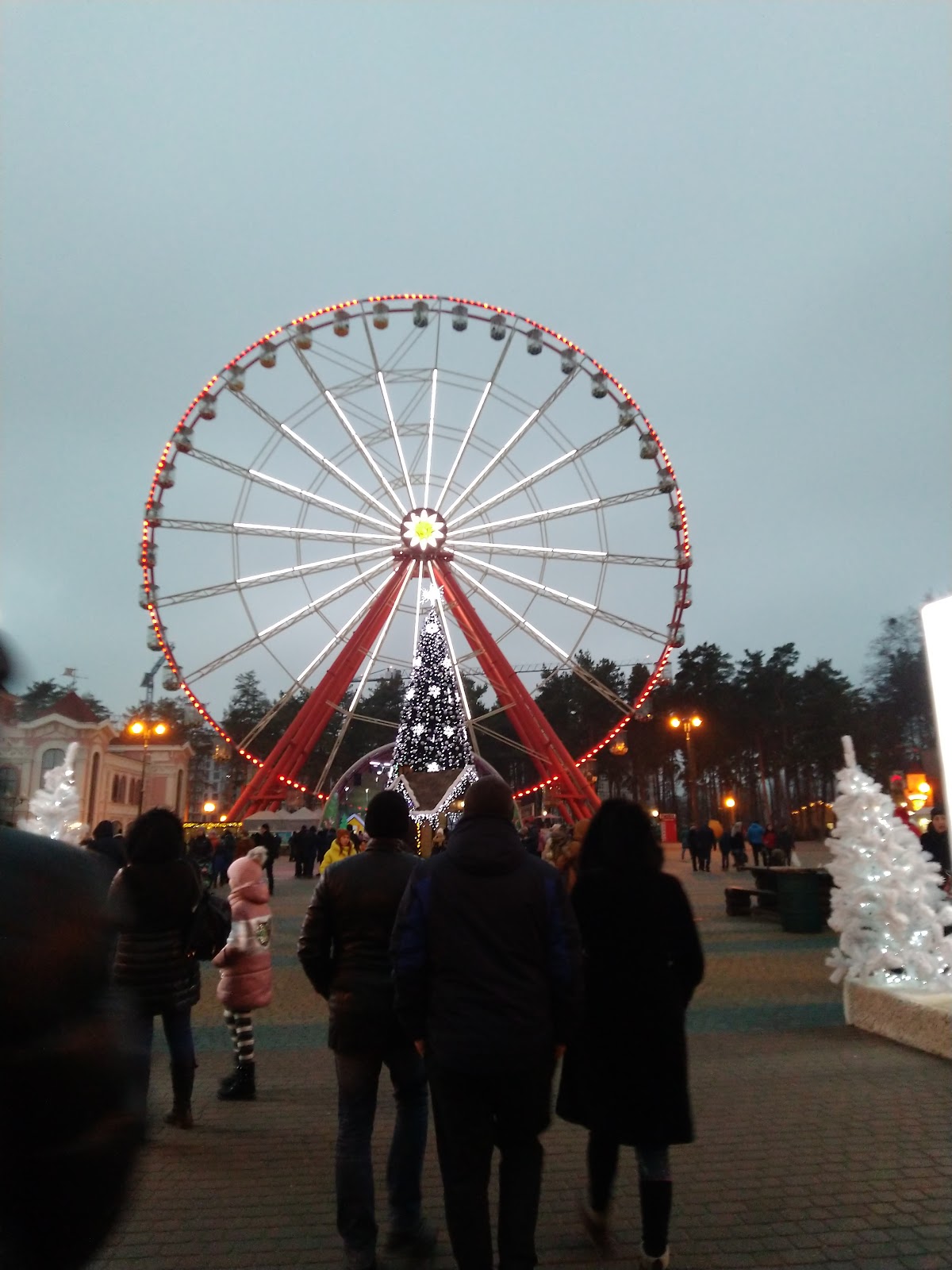 Ferris wheel photo 9