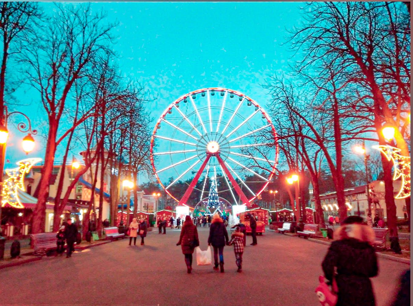 Ferris wheel photo 7