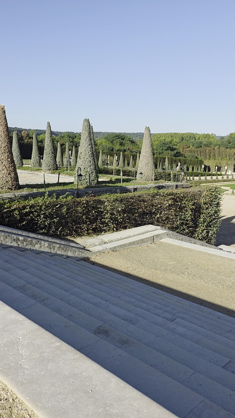 Palace of Versailles photo 3