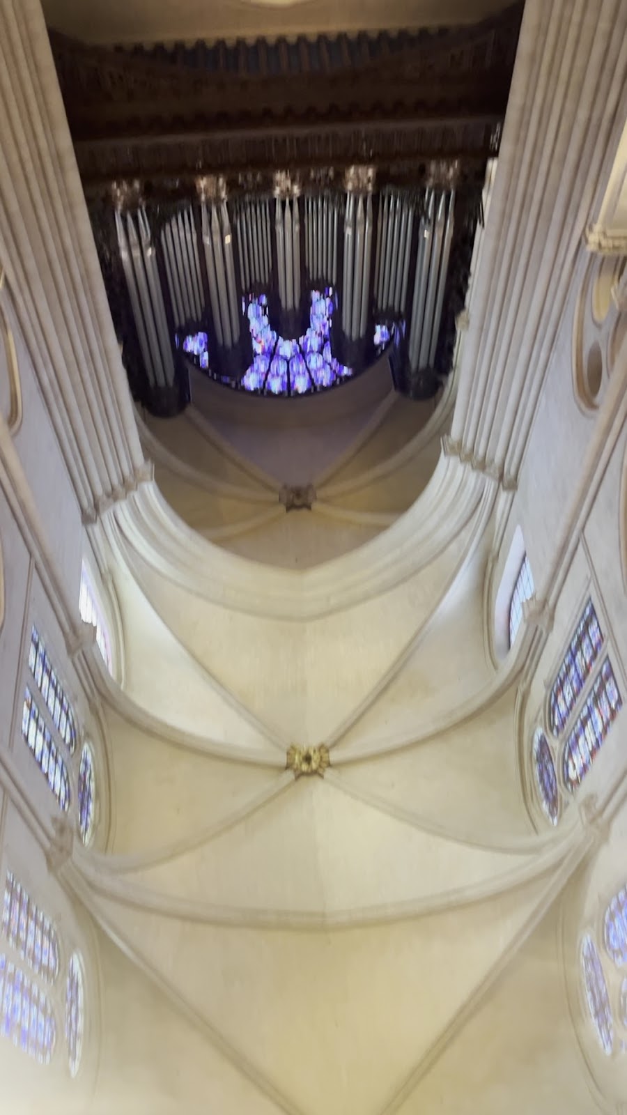 Notre-Dame Cathedral of Paris photo 3