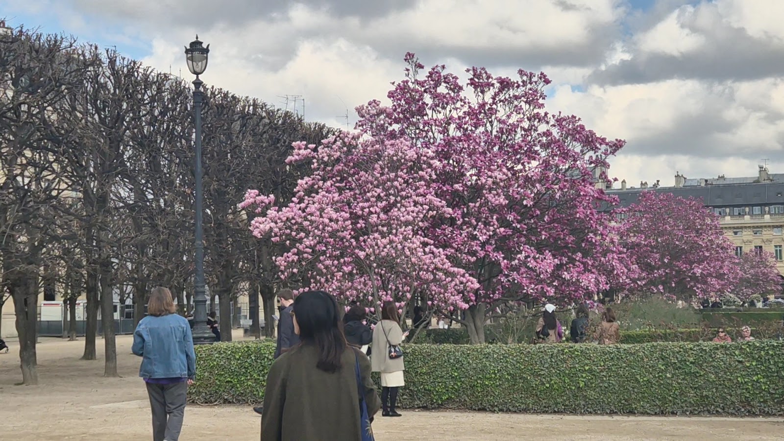 Domaine National du Palais-Royal photo 7