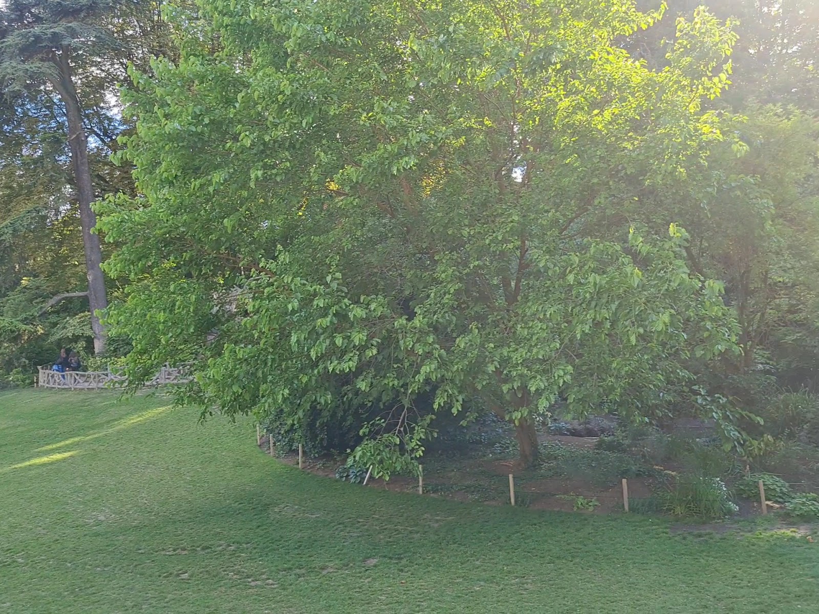 Parc Montsouris photo 6