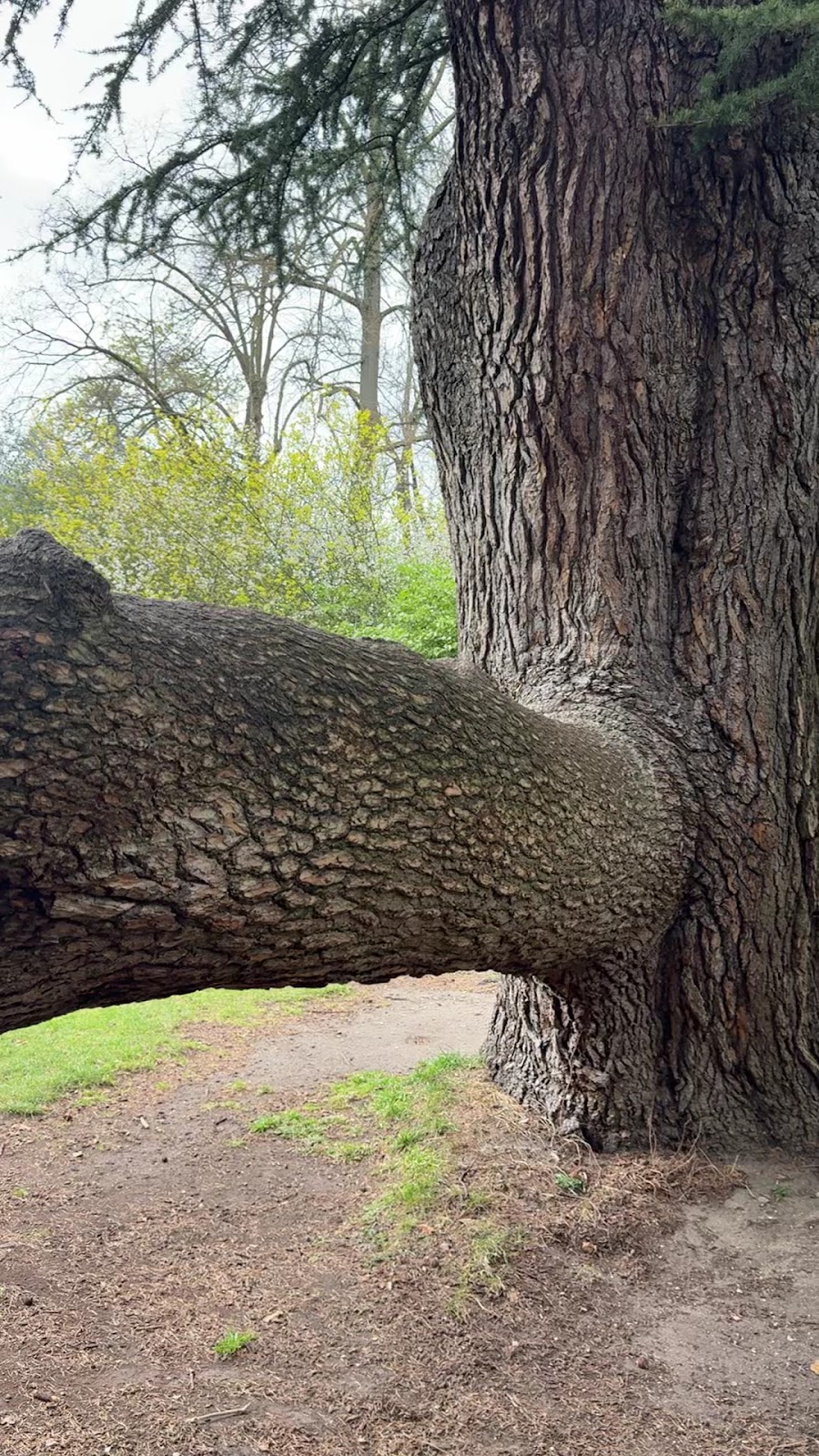 Parc Montsouris photo 10