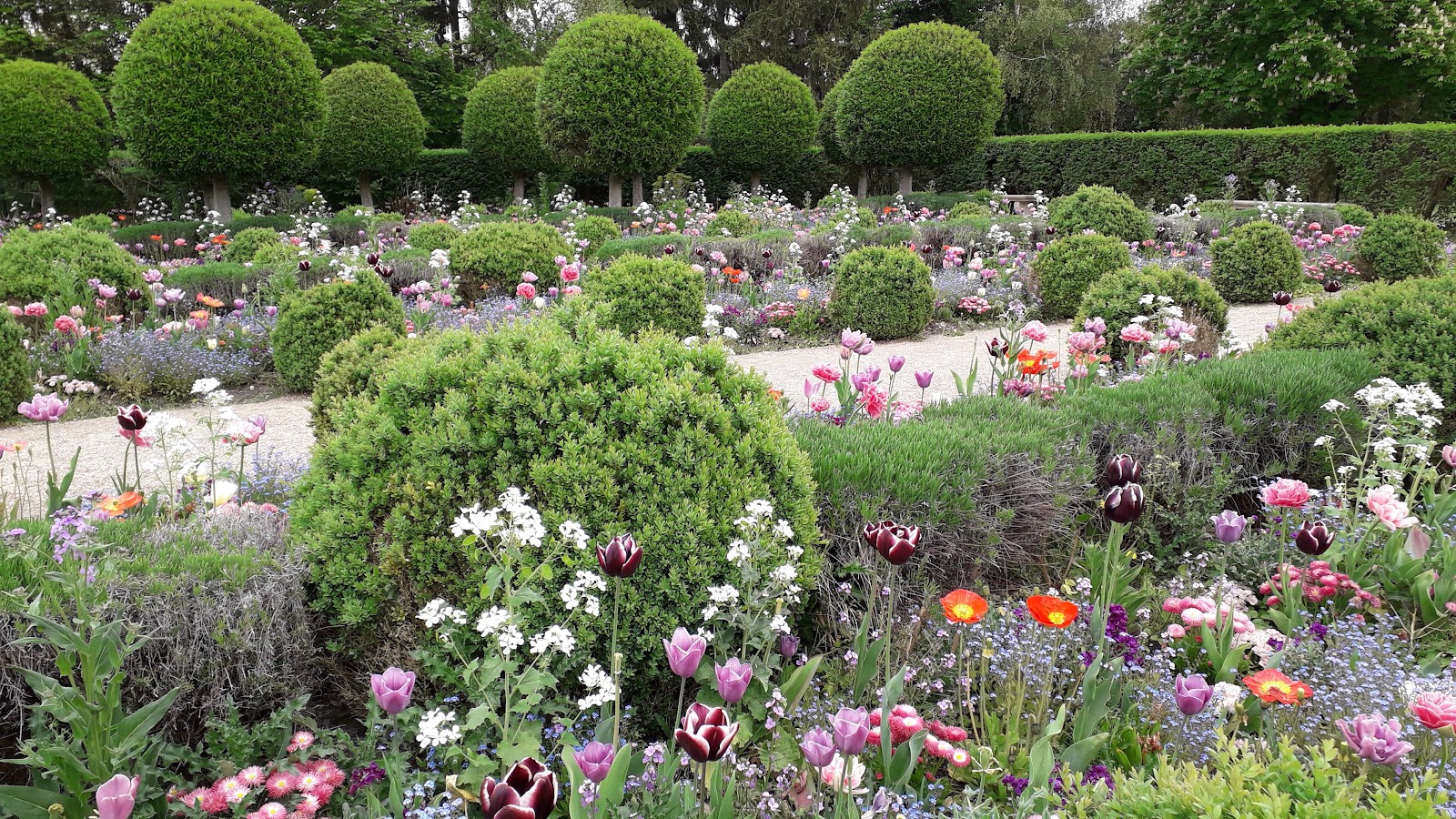 Domaine de Sceaux, parc et musée départementaux photo 6