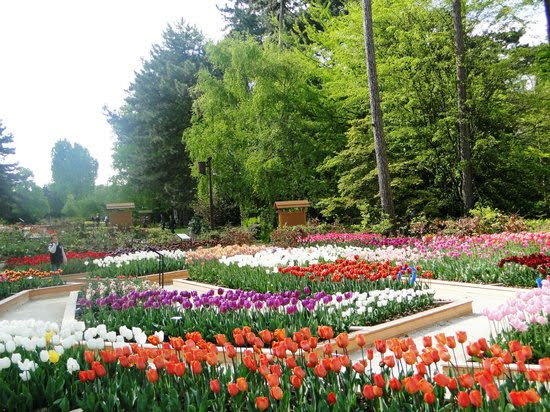 Parc Floral de Paris photo 1