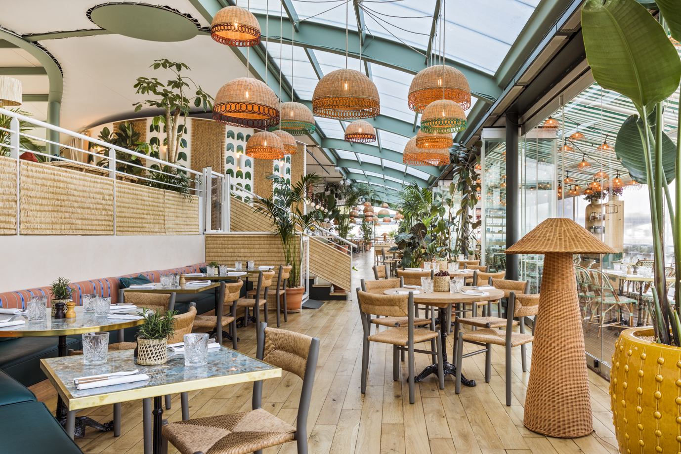 Polpo Brasserie photo 1