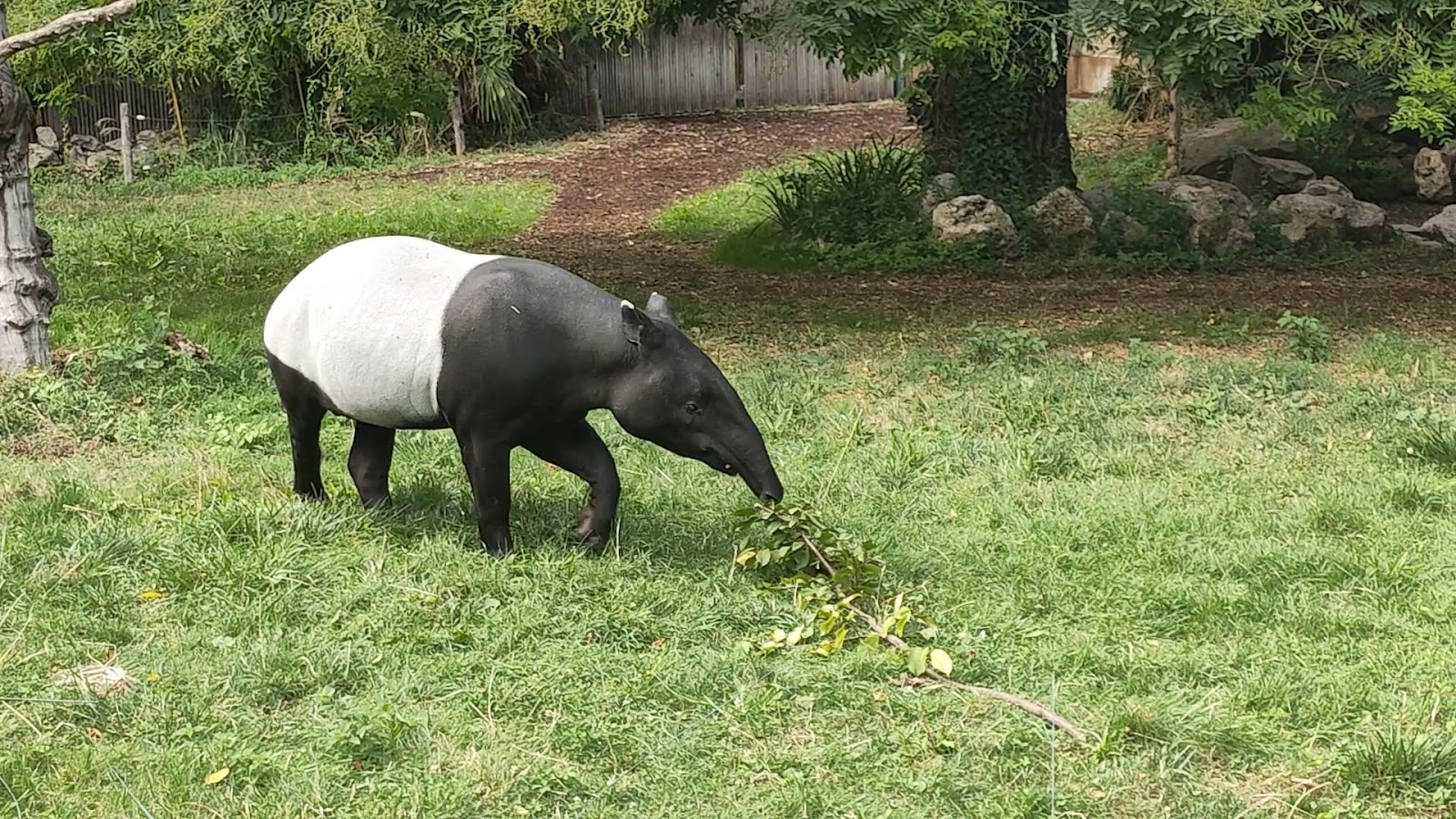 La Ménagerie, le zoo du Jardin des Plantes photo 4