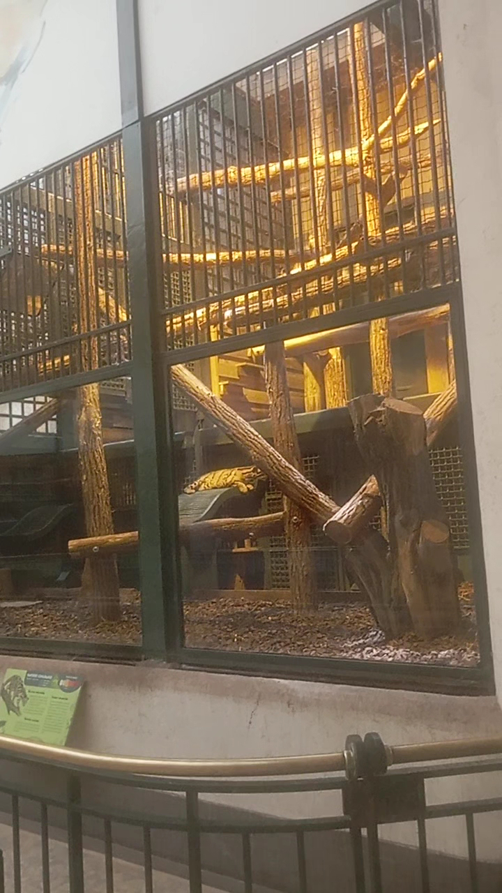 La Ménagerie, le zoo du Jardin des Plantes photo 3