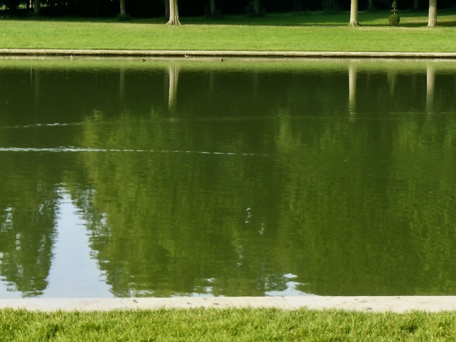 Petit Trianon photo 8