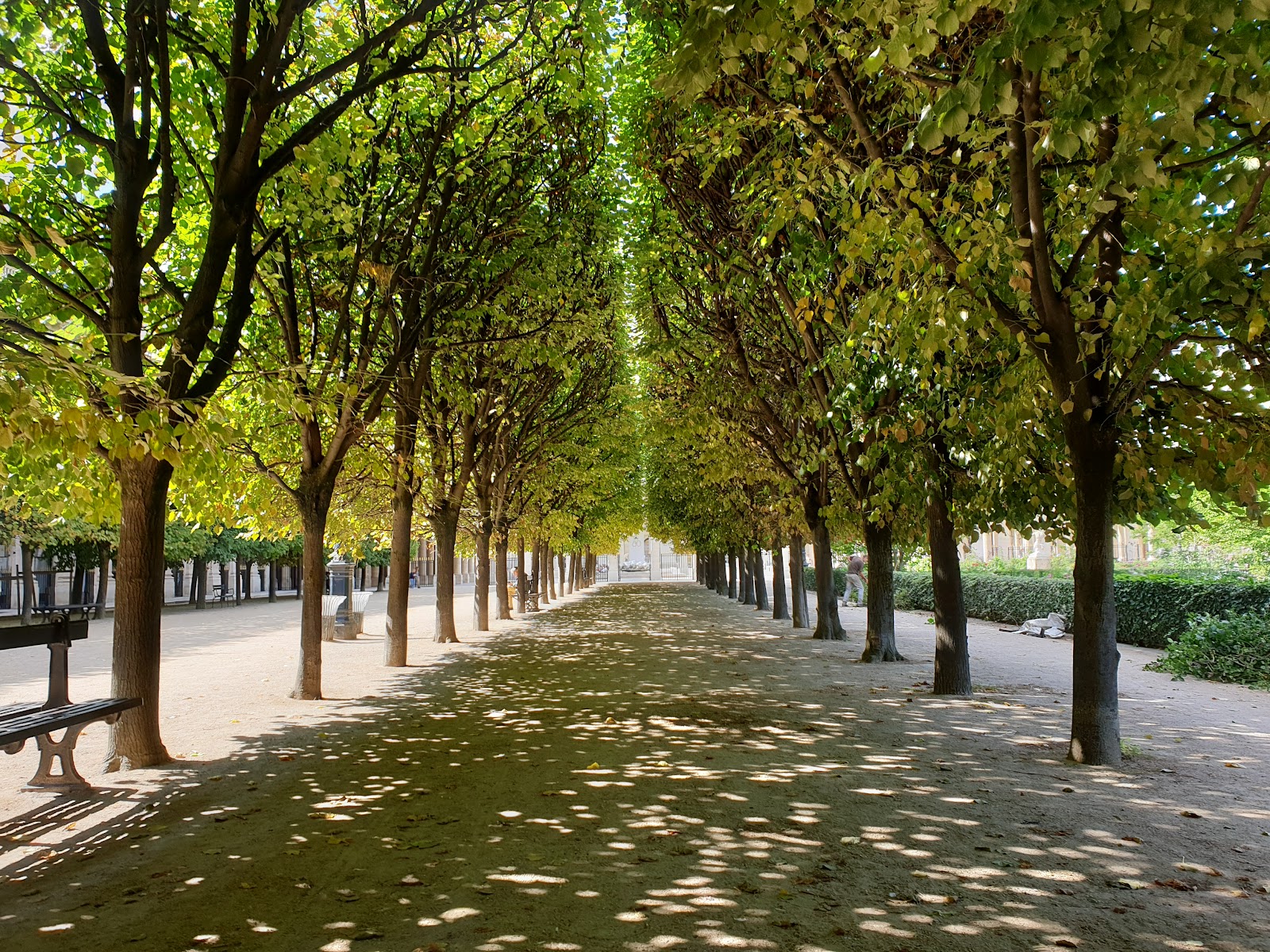 Jardin du Palais Royal photo 1