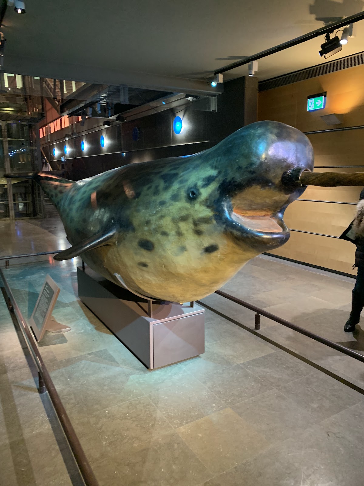National Museum of Natural History photo 5