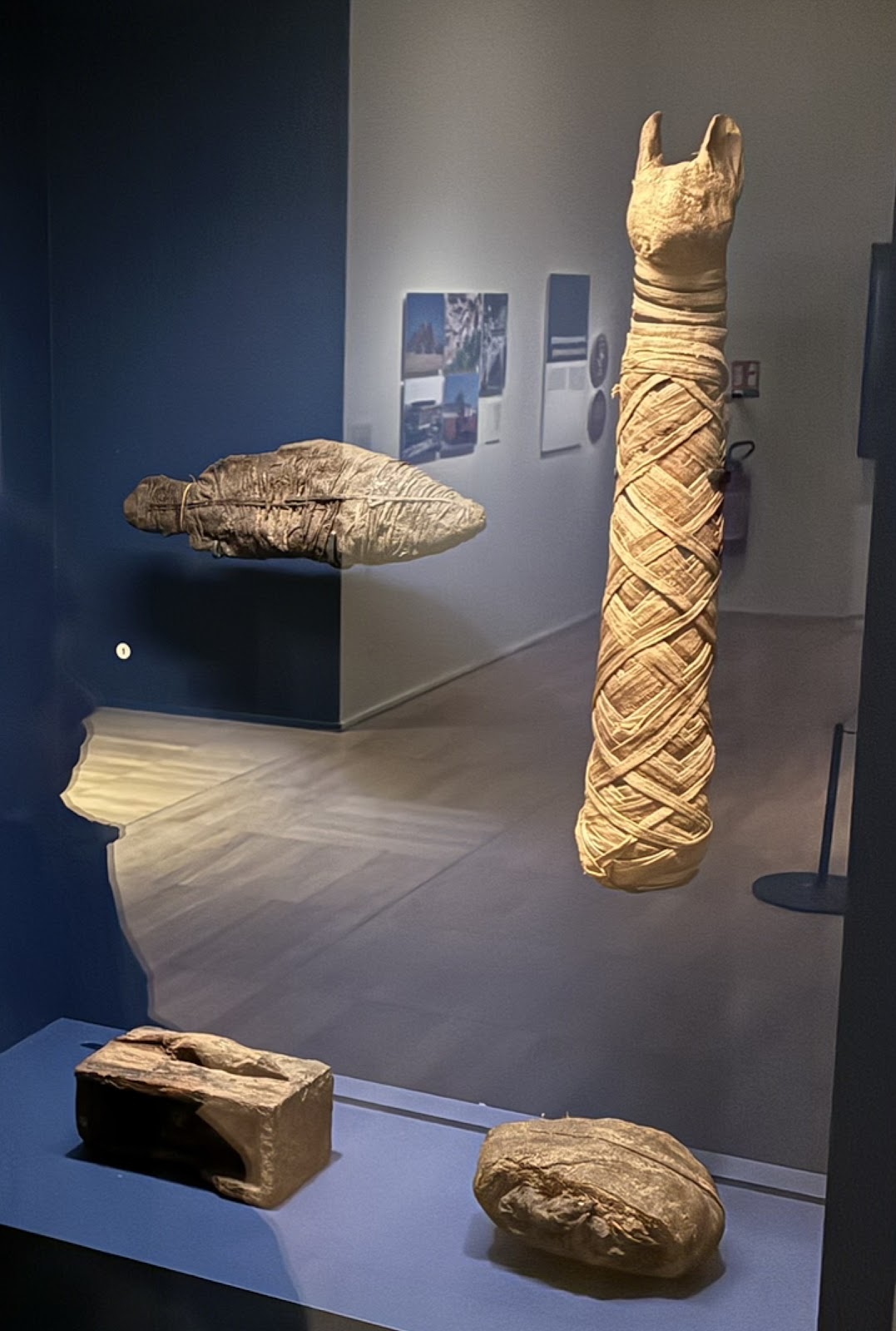 Musée de l'Homme photo 2