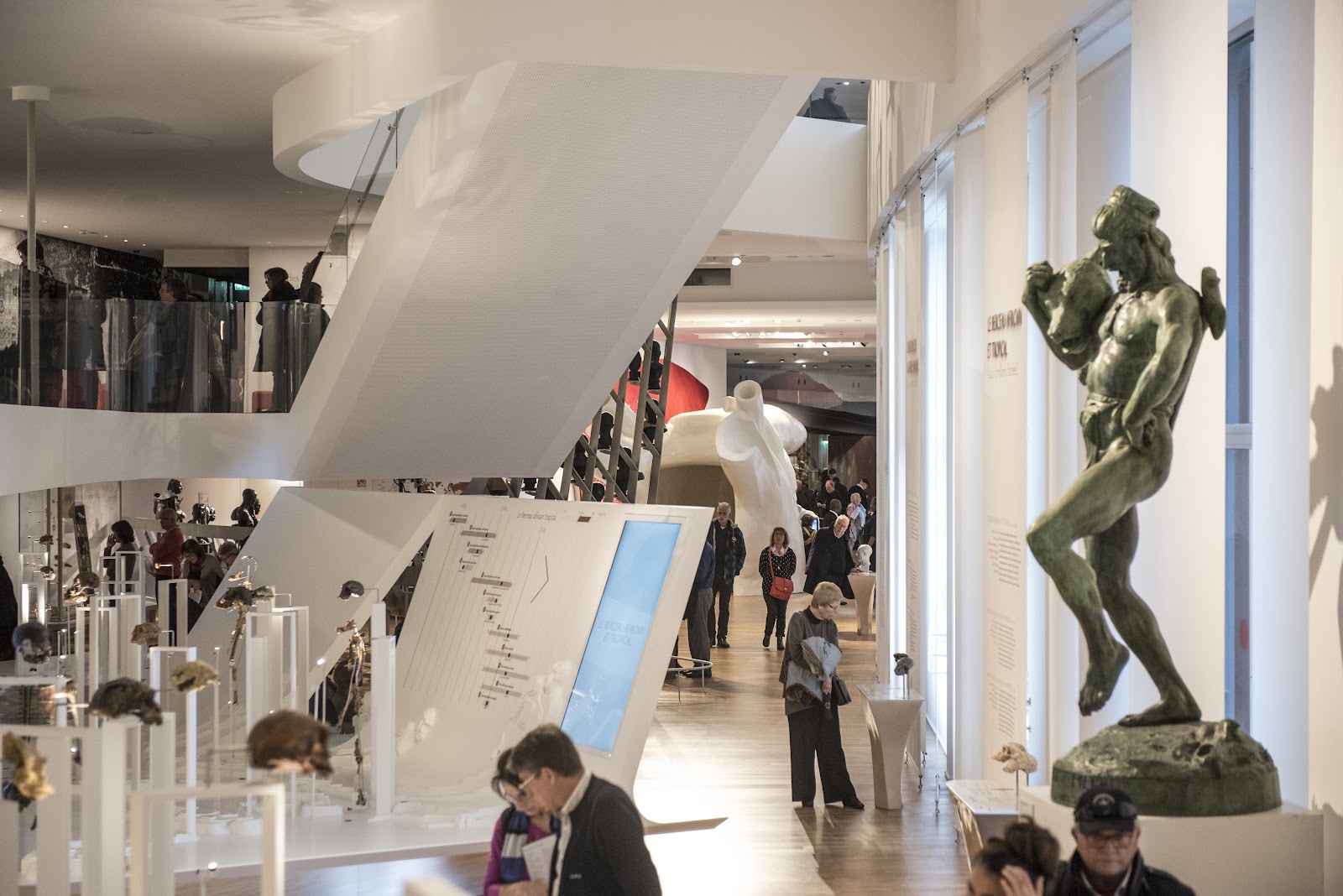 Musée de l'Homme photo 8