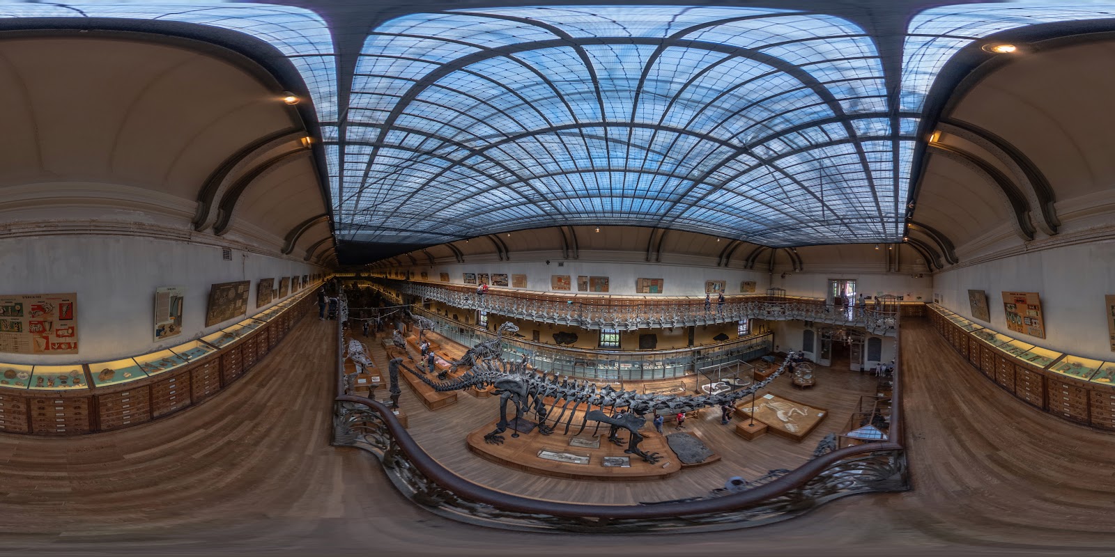 Galerie de Paléontologie et d’Anatomie comparée photo 10