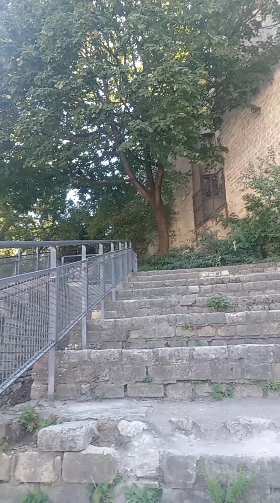 Arènes de Lutèce photo 3