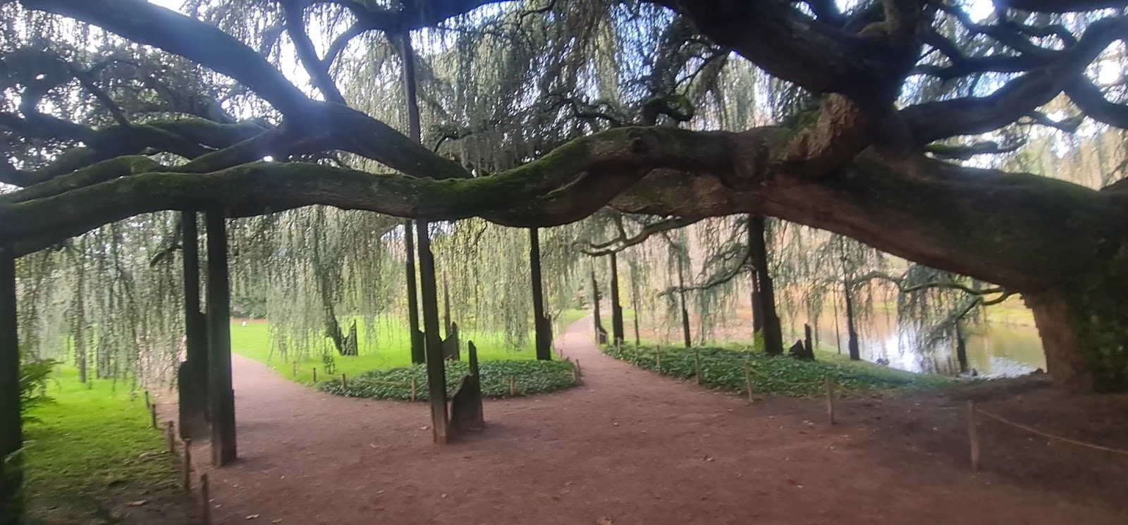 Parc de la Vallée aux Loups photo 4