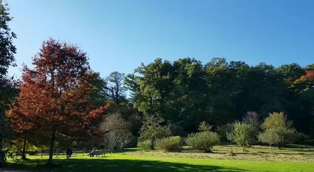 Parc de la Vallée aux Loups photo 7