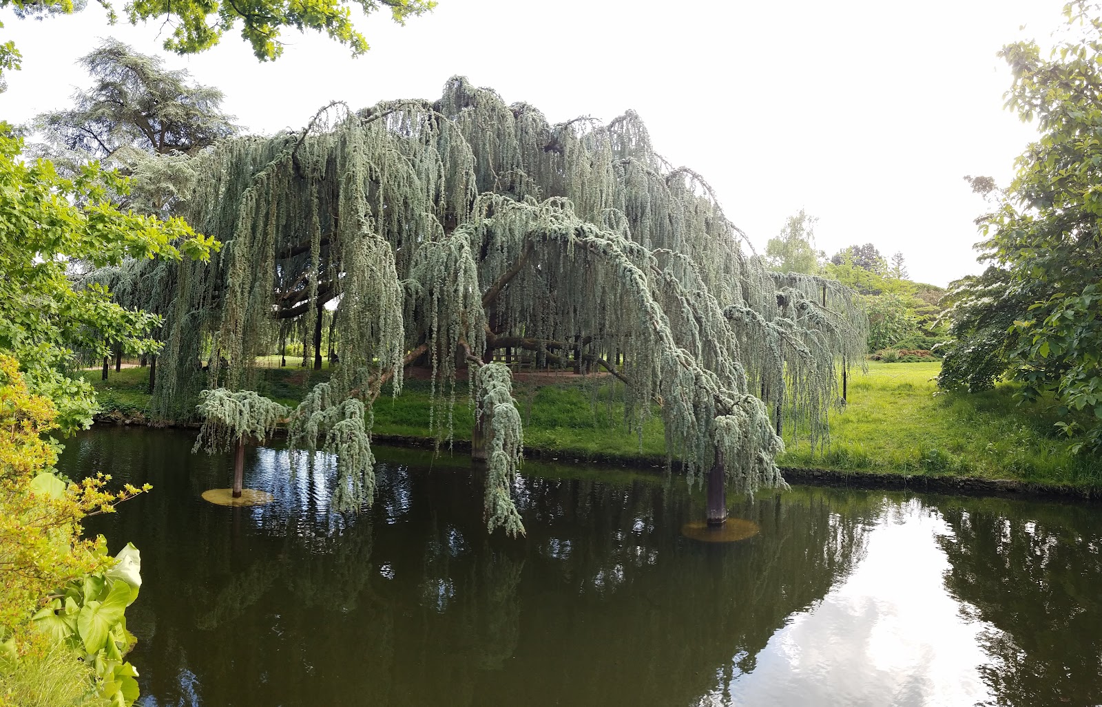 Parc de la Vallée aux Loups photo 2