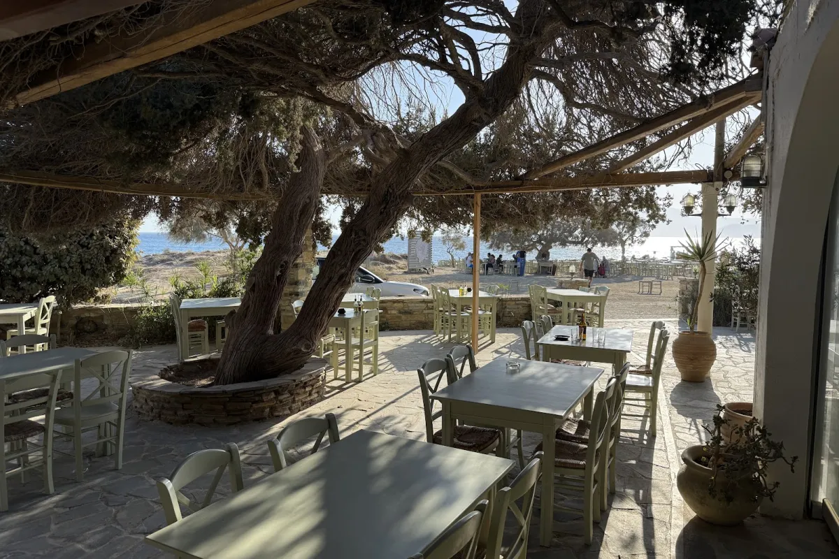 Paradiso Taverna | Naxos photo 1
